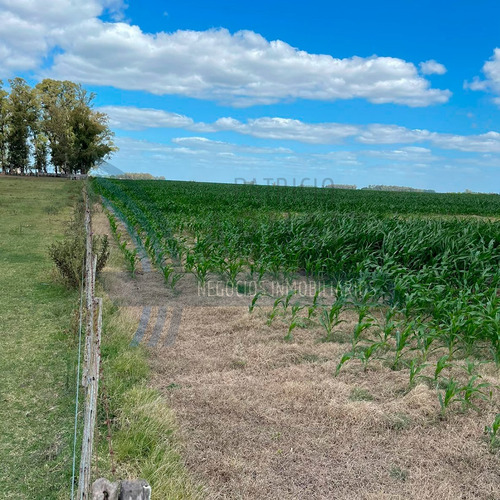 Se Venden 78 Hectáreas De Campo En Saladillo.
