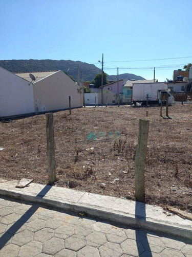 Imagem 3 de 19 de Tre Plano À Venda No Airro São João Do Rio Vermelho - Florianópolis Sc!! - Te0146