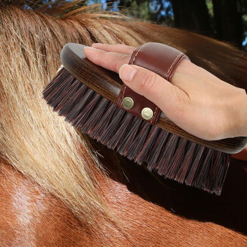 Cepillo De Para Mascotas, Peine Para El Pelo, Cepillo