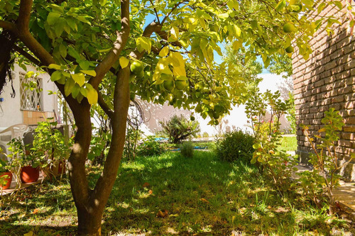 Vende Zona Ctro. Casa 3 Dorm. Apto Desarrollo