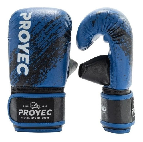 Guantines Boxeo Proyec Guantes Bolsa Box Guantin Entrenamiento