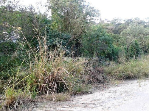 Imagem 8 de 9 de Terreno À Venda, 615 M² Por R$ 150.000,00 - Maria Paula - São Gonçalo/rj - Te3499