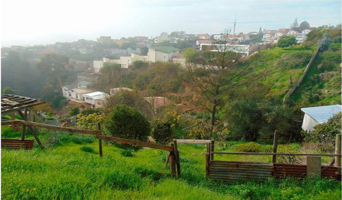 Región Valparaiso (73811)