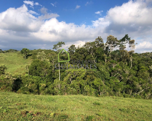 Imagem 4 de 19 de Rancho Queimado Sc - Terreno Excelente Com Lago, Residencial Á Venda, Em Taquaras - Te00040 - 70542594