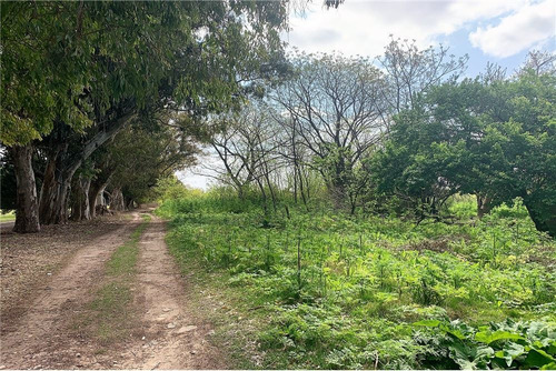 Imagen 8 de 15 de Hectareas Venta En Villa Elisa, Ideal Ley Habitat