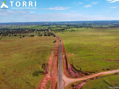 Imagem 30 de 30 de Fazenda À Venda Em Camapuã/ms - Fa00125 - 69071376