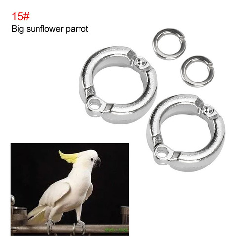 10 Anillas Para Patas De Pájaro Loros, Actividades De Entren