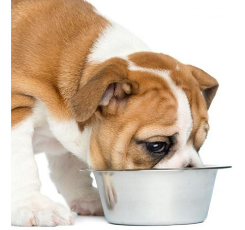 Mundo Mascota Comida Para Perros Y Gatos Al Mejor Precio -