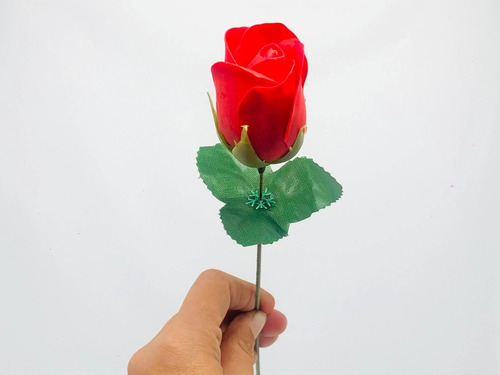 Ramo Rosas  + Pétalos De Jabón San Valentín Enamorados 