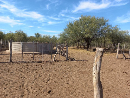 Imagen 5 de 9 de Venta Campo Ganadero Para Cría De 3926 Ha