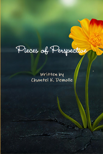 Pieces Of Perspective, De Demolle, Chantel K.. Editorial Lightning Source Inc, Tapa Blanda En Inglés