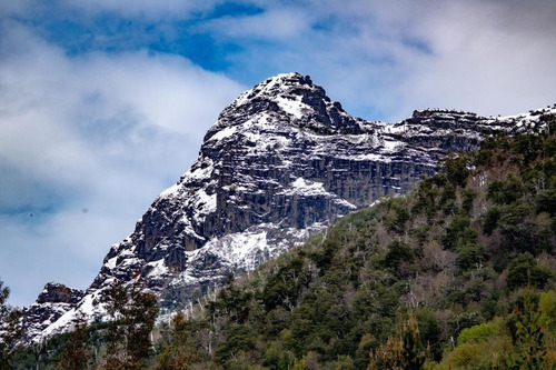 Terreno Cerca Reserva Nacional Malleco, 6.100 Mt2