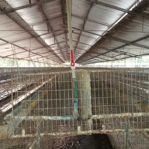 Imagen 10 de 17 de Finca De 12 Hectareas De Gallinas Ponedoras En Villa De Cura