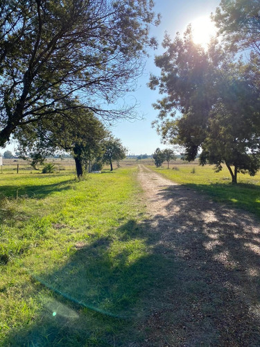 Imagen 8 de 8 de Lotes En Venta