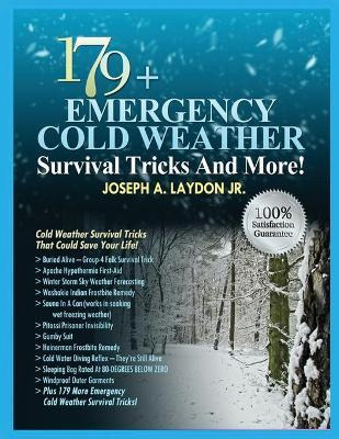 Libro 179+ Emergency Cold Weather Survival Tricks And Mor...