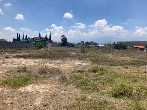 Terreno Comercial En Renta En Montecillo, Texcoco, México