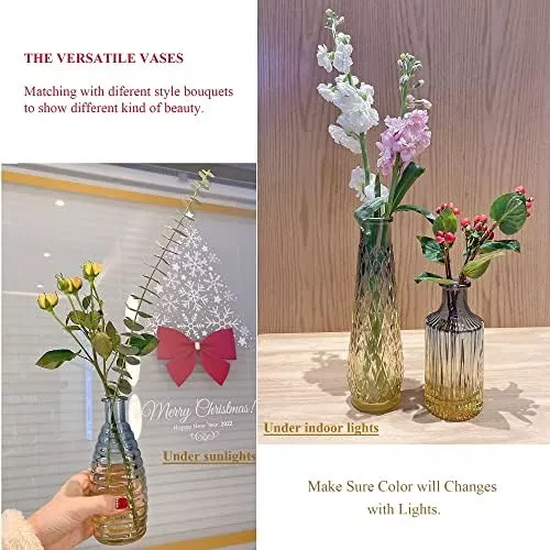 Juego de 3 jarrones de cristal, pequeños jarrones de flores para  decoración, vidrio degradado y estilo en relieve, mini botellas de vidrio  para