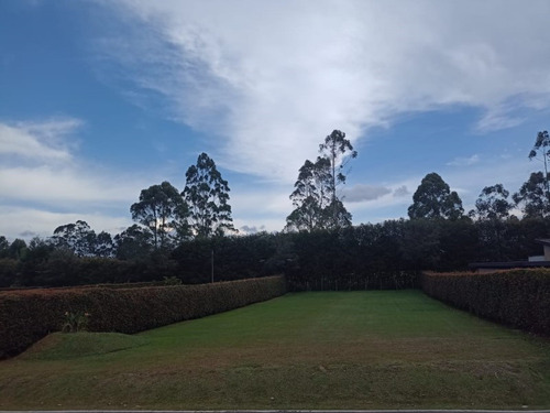 Lote Para Venta En Rionegro Sector Cabeceras (20427).