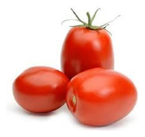 Tomate Rasteiro Rio Grande 1.500 De Sementes Aproximado