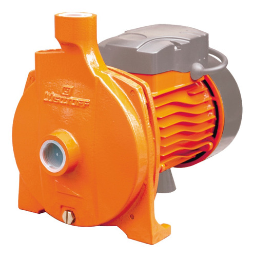 Bomba Centrifuga 1hp 750w Elevadora Agua Riego Gtia 24 Meses