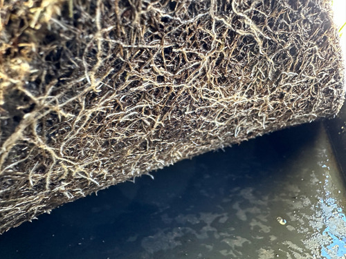 Hidrogel Agricola Lluvia Solida , Retención De Agua 5 Kg