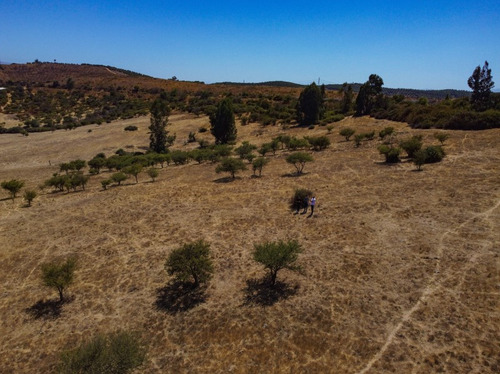 Se Vende Parcela En Sector Los Laureles Limache