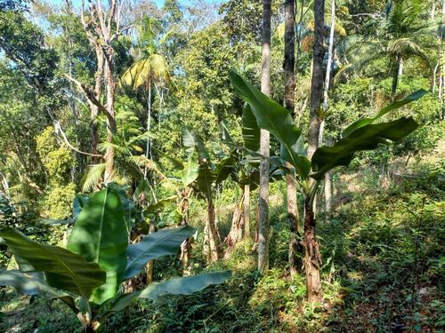 Imagem 1 de 6 de Ótimo Para Moradia 800 M² Sinal De Celular Ótimo Acesso