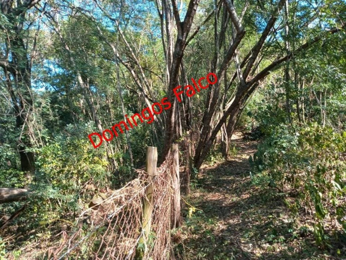 Venda - Chácara - Chácaras De Recreio Represa - Nova Odessa - Sp - D5131