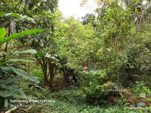 Imagem 5 de 12 de Ref.: 566 - Terrenos Em Cotia Para Venda - V566