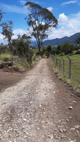 Lote En Venta En La Calera. Cod V14689