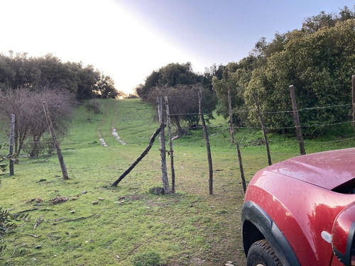 Campito De 10,24ha En Chépica, Sector Los Canelos