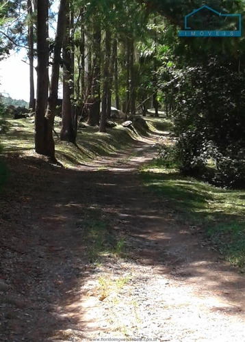 Imagem 12 de 17 de Chácaras À Venda Em Jarinú/sp - Compre O Seu Chácaras Aqui! - 1443208