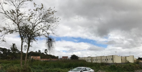 Imagem 7 de 17 de Terreno Residencial À Venda, Cidade Boa Vista, Suzano. - Reo326389