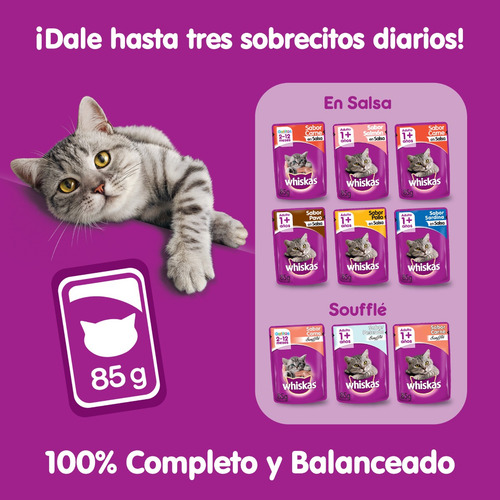 Whiskas Alimento Húmedo Sobrecito Gato Salmón Salsa 12 Un