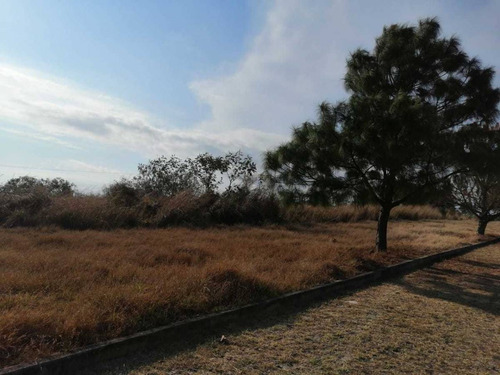 Imagen 1 de 9 de Terrenos Habitacionales En Venta En Fraccionamiento San Rafael Cuauhtémoc Colima