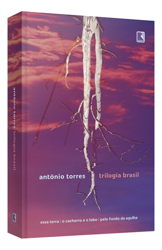Trilogia Brasil: Não Aplica, De Torres. Editora Galera Record, Capa Mole Em Português