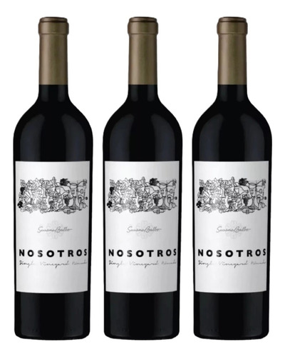 Vino Nosotros Malbec X750ml Caja X 3u  - Enotek Vinos -