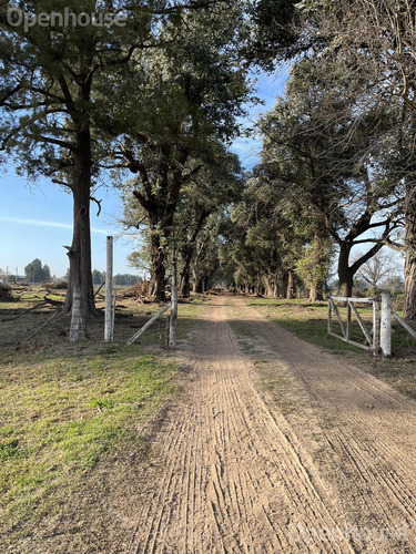 Venta - Lote En Barrio Semi Cerrado La Estancia - Gral Rodriguez