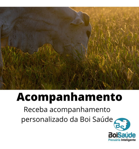 Total Leite Premium Núcleo Vitamínico Para Gado De Leite 5kg