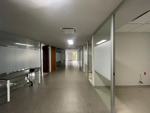 Oficina En Renta En Lomas De Chapultepec