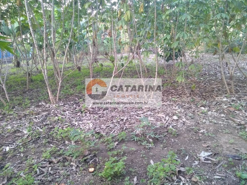 Imagem 3 de 10 de Lindo Terreno Com Topografia Plana!