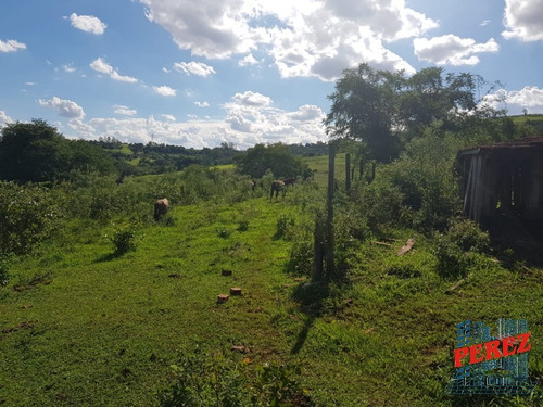 Chácaras_sítios_fazendas Para Venda - 13650.5197
