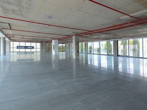 Grierson Cecilia 322 5º 6º