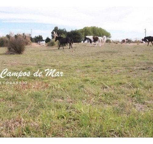 Duplex En Barrio Semi Cerrado