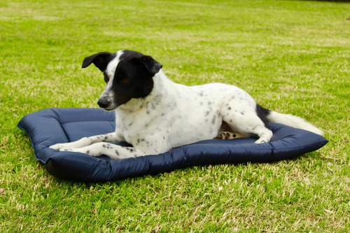 Imagen 3 de 5 de Cama Para Perro O Gato Lola Pets Tapiz Antidesgarro Chico