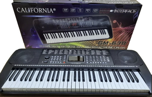 Teclado Organo Electronico 5/8 California Gm630 Entrada Usb