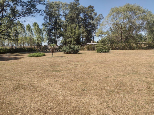 Imagen 5 de 25 de Casa Quinta En Venta De 3 Dormitorios En Brandsen.