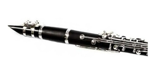 Imagem 5 de 8 de Clarineta Clarinete Benson Bcl-1bn 17 Chaves Com Case Luxo