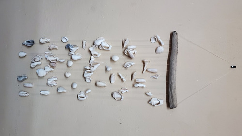 Wind Chime - Estilo Conchas De Mar