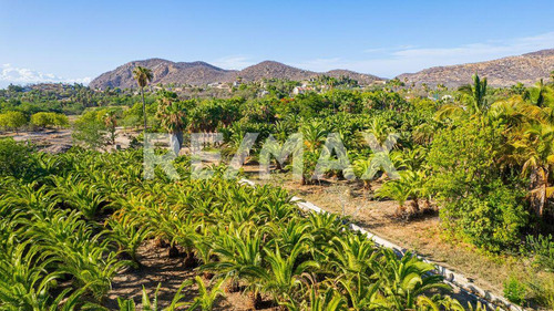 The Crown Jewel At Las Animas, San Jose Del Cabo, Mls #23-131